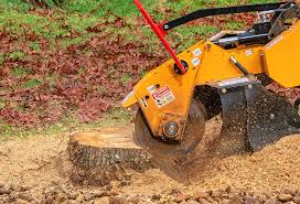 Best Stump Grinding and Removal  in Vernon Valley, NJ